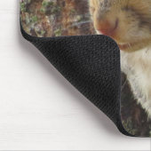 Tapis De Souris Écureuil dans l'arbre (Coin)