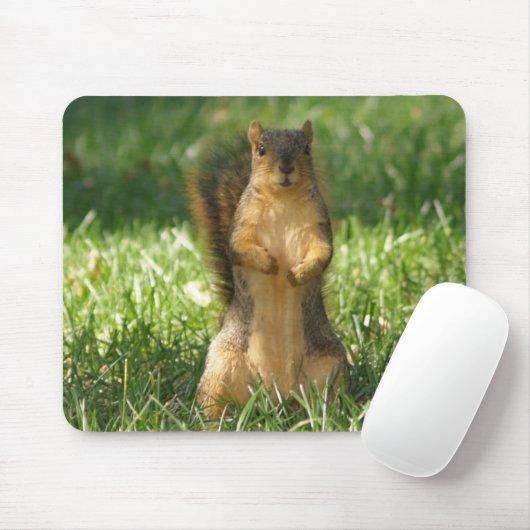 Tapis De Souris Écureuil Dans L'Herbe Photo Souris Pad (Avec souris)