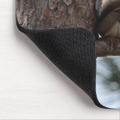 Tapis De Souris Écureuil dans un pin (Coin)
