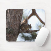 Tapis De Souris Écureuil dans un pin (Avec souris)