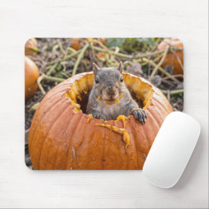 Tapis De Souris Écureuil dans une citrouille d'automne