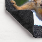 Tapis De Souris Écureuil de bébé dans l'arbre (Coin)