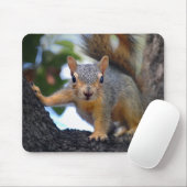 Tapis De Souris Écureuil de bébé dans l'arbre (Avec souris)
