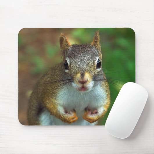 Tapis De Souris Écureuil de pin (Avec souris)