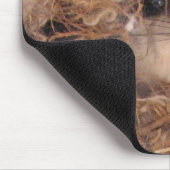 Tapis De Souris Écureuil de vol Mousepad (Coin)