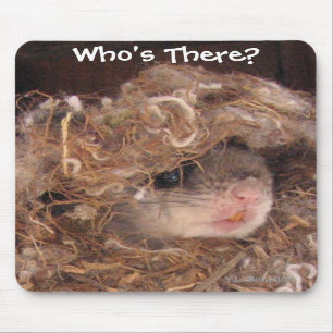 Tapis De Souris Écureuil de vol Mousepad