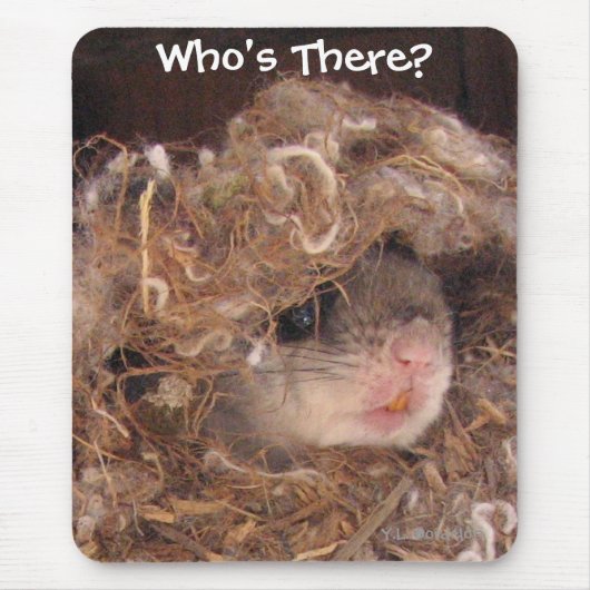 Tapis De Souris Écureuil de vol Mousepad (Devant)