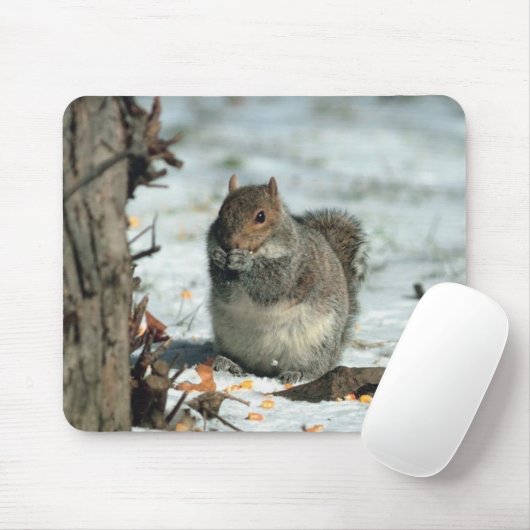 Tapis De Souris Écureuil d'hiver (Avec souris)