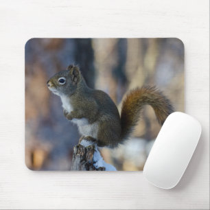 Tapis De Souris Écureuil d'hiver, animal Brown, photo canadienne