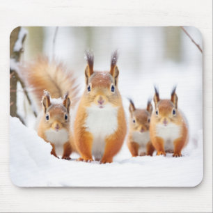 Tapis De Souris Écureuil Famille d'animaux errants Nature
