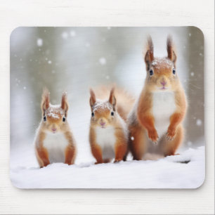 Tapis De Souris Écureuil Famille d'animaux errants Nature
