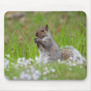 Tapis De Souris Écureuil gris adorable