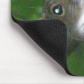 Tapis De Souris Écureuil gris (Sciurus carolinensis) (Coin)