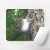 Tapis De Souris Écureuil gris (Sciurus carolinensis) (Avec souris)