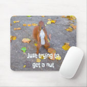 Tapis De Souris écureuil J'essaie juste d'attraper une noisette (Avec souris)