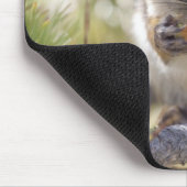 Tapis De Souris Écureuil mangeant un cône de pin (Coin)