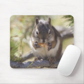 Tapis De Souris Écureuil mangeant un cône de pin (Avec souris)