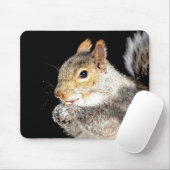 Tapis De Souris Écureuil mangeant une noix (Avec souris)