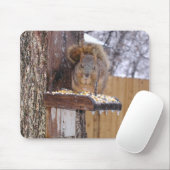 Tapis De Souris Écureuil Mousepad (Avec souris)