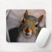 Tapis De Souris Écureuil Mousepad (Avec souris)