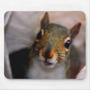 Tapis De Souris Écureuil Mousepad