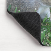 Tapis De Souris Écureuil Mousepad, comportant le "Clicker " (Coin)