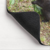 Tapis De Souris Écureuil noir (Coin)