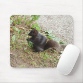 Tapis De Souris Écureuil noir (Avec souris)