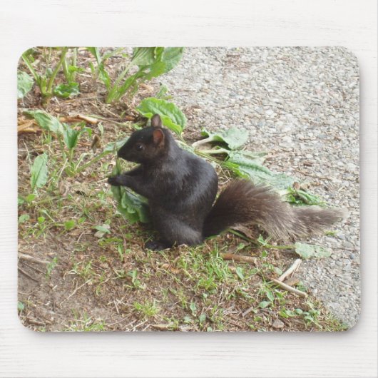 Tapis De Souris Écureuil noir (Devant)
