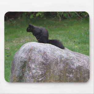 Tapis De Souris Écureuil noir mignon sur un écureuil de la nature
