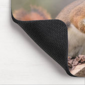 Tapis De Souris Écureuil rouge (Coin)
