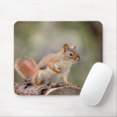 Tapis De Souris Écureuil rouge (Avec souris)