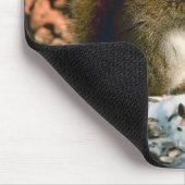 Tapis De Souris Écureuil roux (Coin)