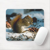 Tapis De Souris Écureuil roux (Avec souris)
