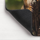 Tapis De Souris Écureuil roux bébé (Coin)