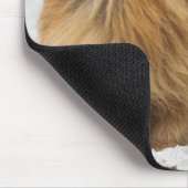 Tapis De Souris Edgrrrr #3 - Pomeranian (Coin)