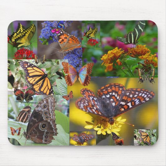 Tapis De Souris ÉDREDON DE PAPILLON ! Mousepad (Devant)
