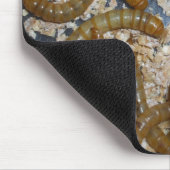 Tapis De Souris Eeewww… - Mousepad (Coin)