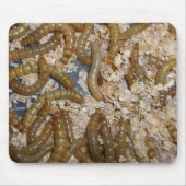 Tapis De Souris Eeewww… - Mousepad (Devant)
