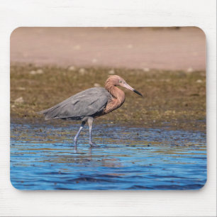 Tapis De Souris Egret rouge sur North Beach