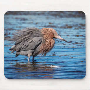 Tapis De Souris Egret rouge sur North Beach
