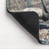 Tapis De Souris élans (Coin)