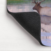 Tapis De Souris Élans du Kentucky (Coin)