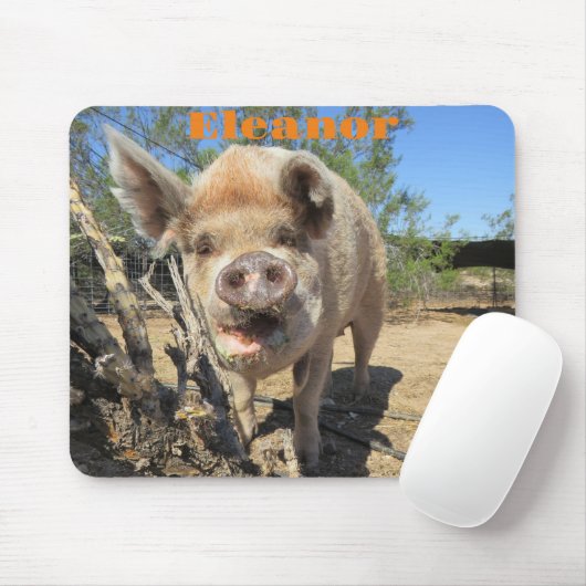Tapis De Souris Eleanor Mousepad (Avec souris)