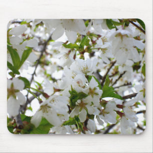 Tapis De Souris Élégant arbre à fleurs blanches en fleurs blanches