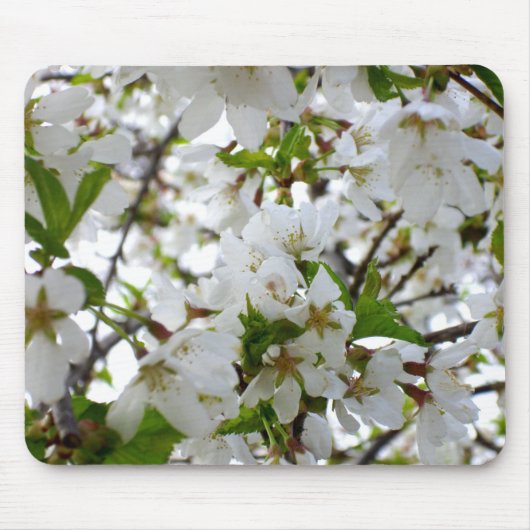 Tapis De Souris Élégant arbre à fleurs blanches en fleurs blanches (Devant)