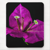 Tapis De Souris Élégant Bougainvillier violet (Devant)