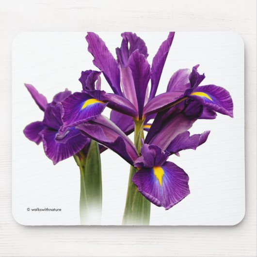 Tapis De Souris Élégant Iris Néerlandais Fleurs De Sensation Viole (Devant)