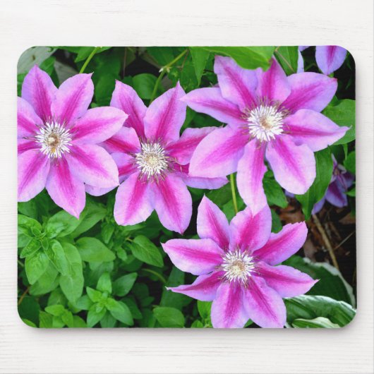 Tapis De Souris Élégant rose floral vert botanique (Devant)