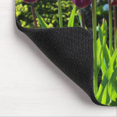 Tapis De Souris Élégante Tulipes à drapeau triomphal blanc violet (Coin)